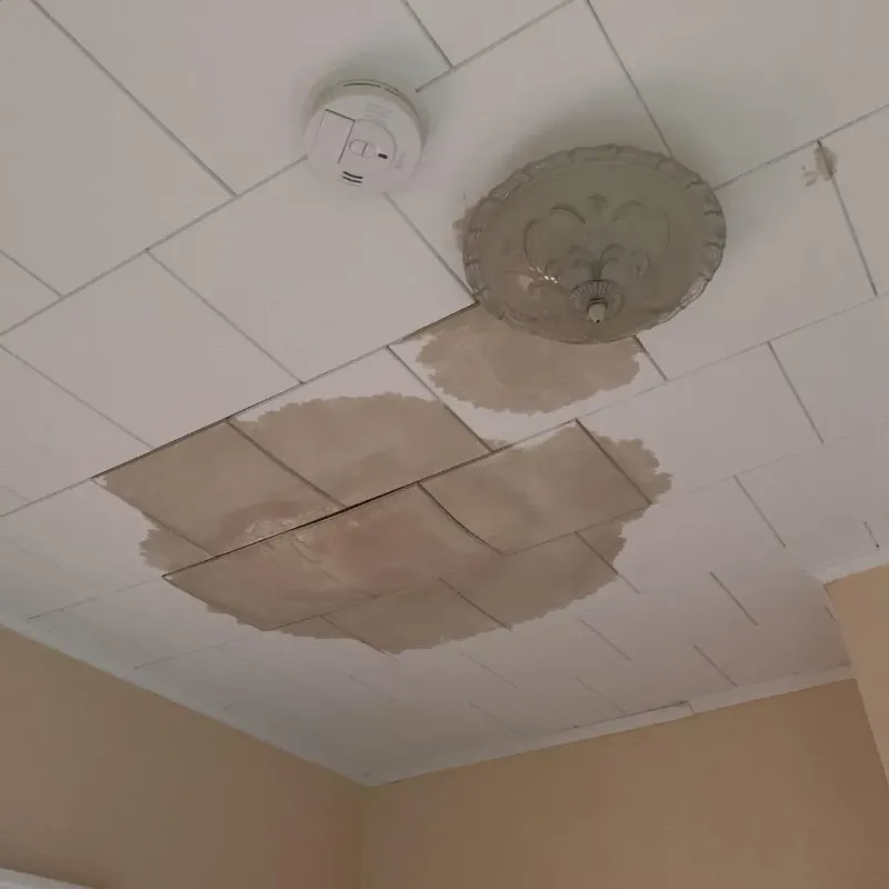Ceiling Water Damage Repair in Vienna, WV
