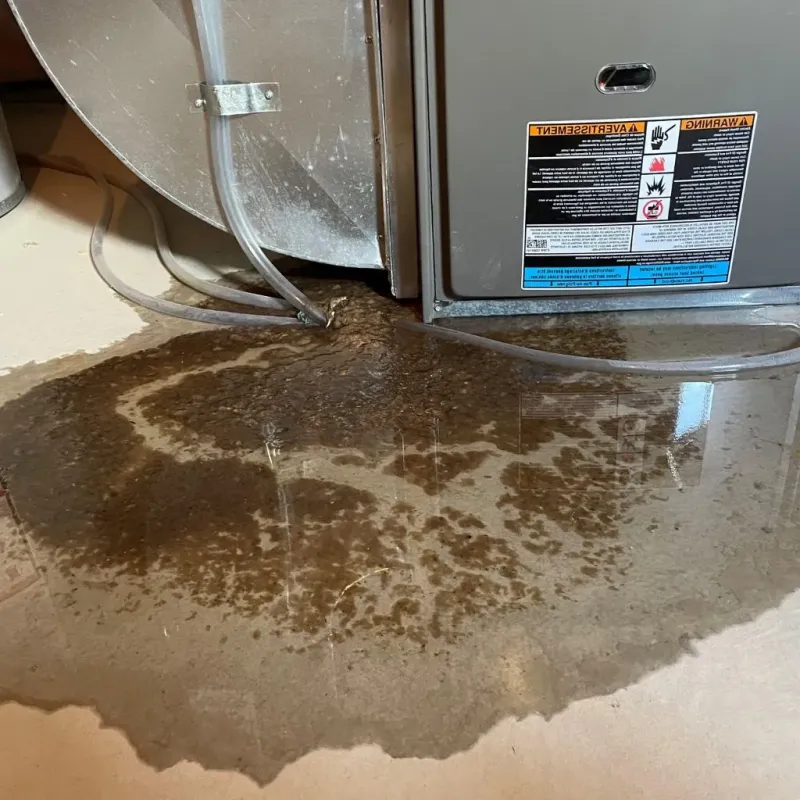 Pipe Burst and Leak Restoration in Vienna, WV