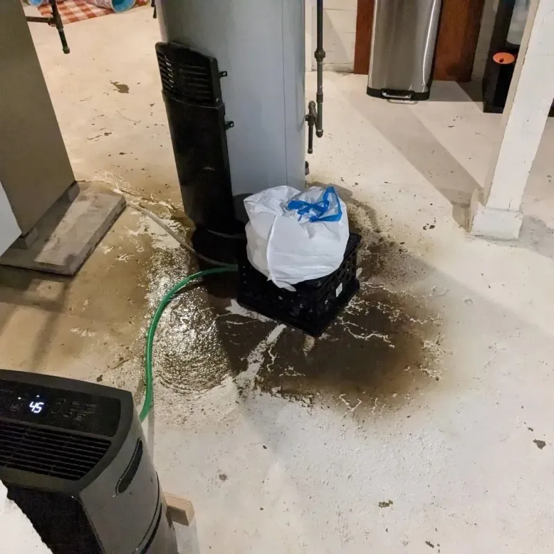 Sewage Backup Cleanup Service in Vienna, WV